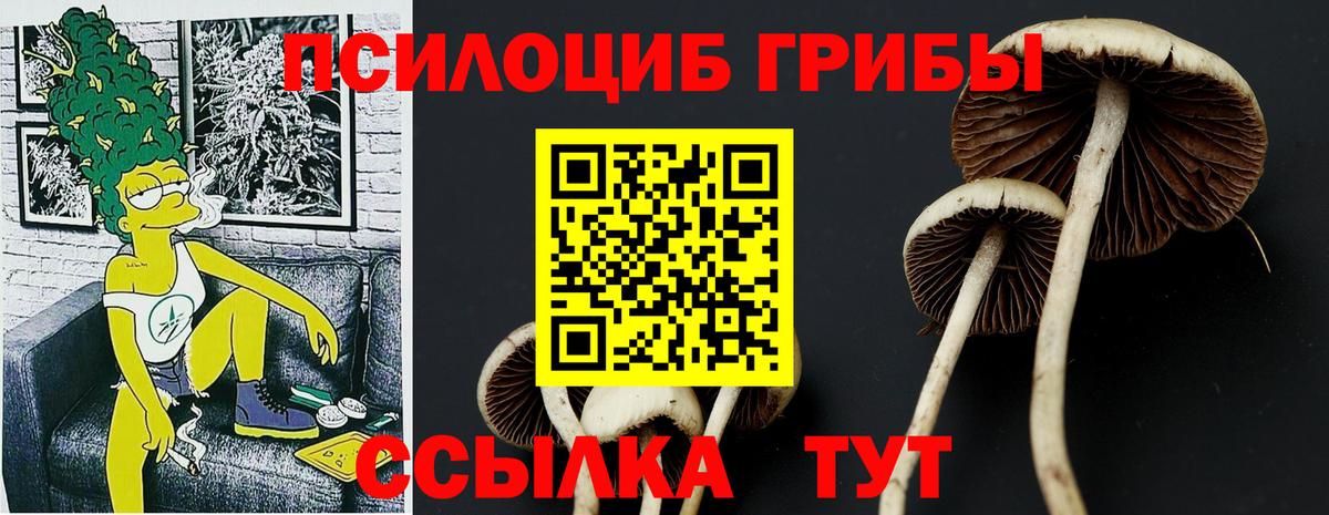 Галлюциногенные грибы Magic Shrooms Хабаровск