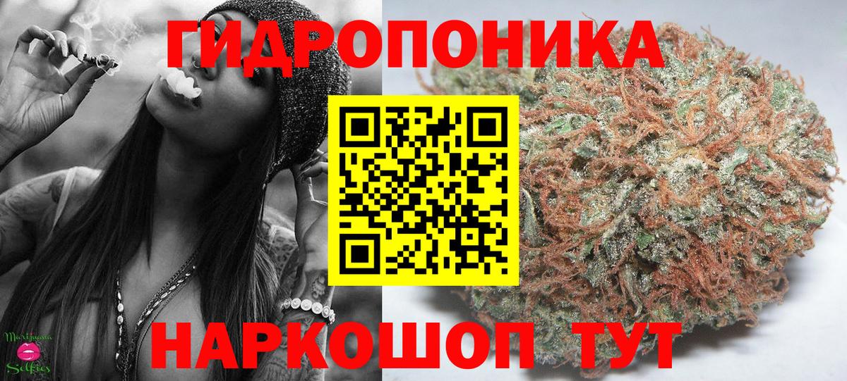 Шишки марихуана конопля  Бошки марихуана конопля  Хабаровск  Вход с VPN  Каннабис MAZAR 
